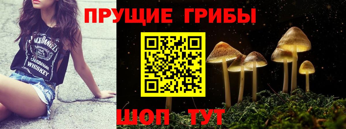 Галлюциногенные грибы прущие грибы Лянтор