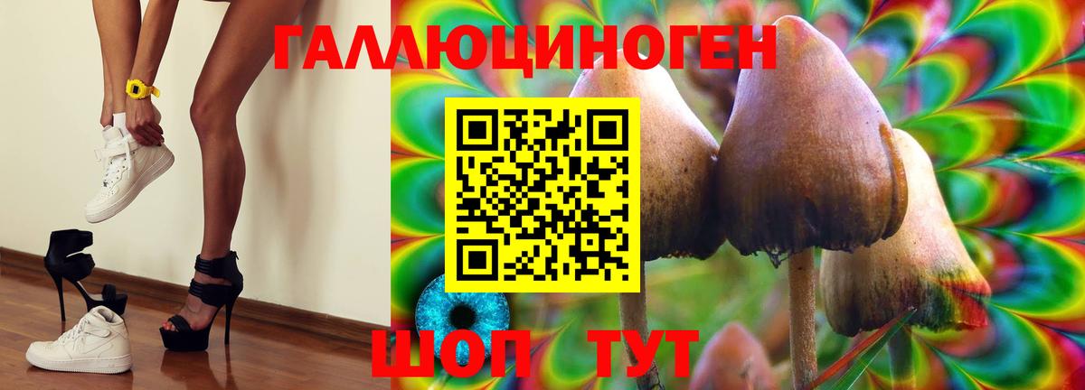 Лянтор  Галлюциногенные грибы ЛСД  Вход с VPN 